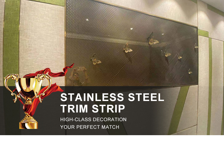 stainless steel decorative trim strip